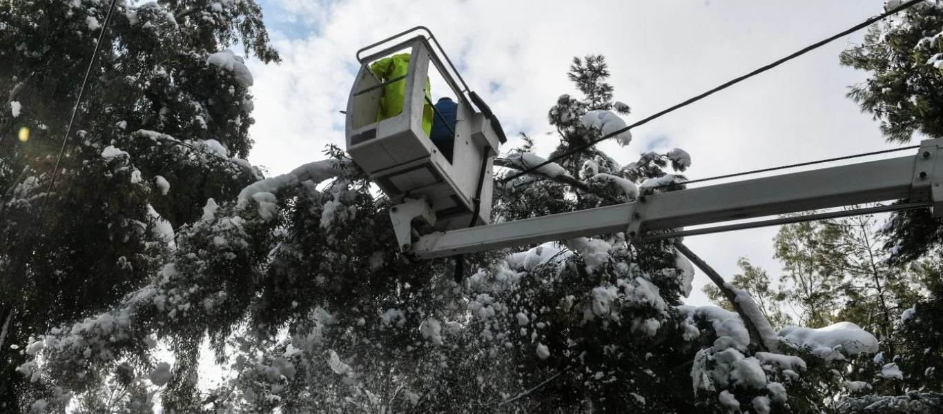 ΔΕΔΔΗΕ: Με άδεια από το Δασαρχείο γίνεται το κλάδεμα των δέντρων